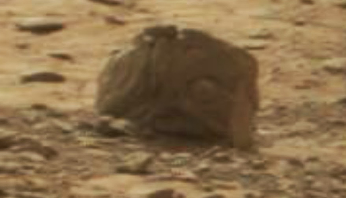Marte: ¿Estatua alienígena es captada por el rover Perseverance?