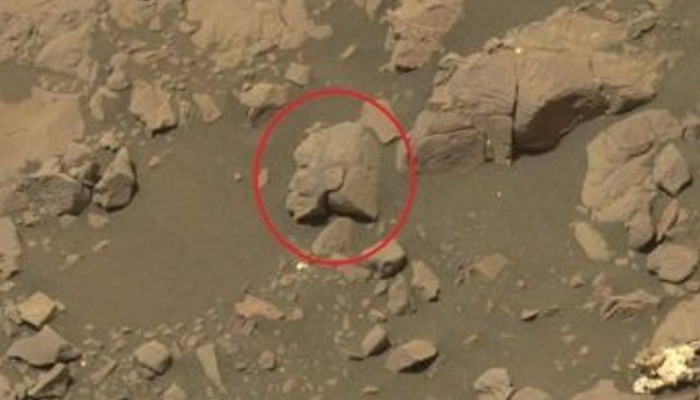 Estatua egipcia en Marte: Descubren una misteriosa roca en la superficie marciana