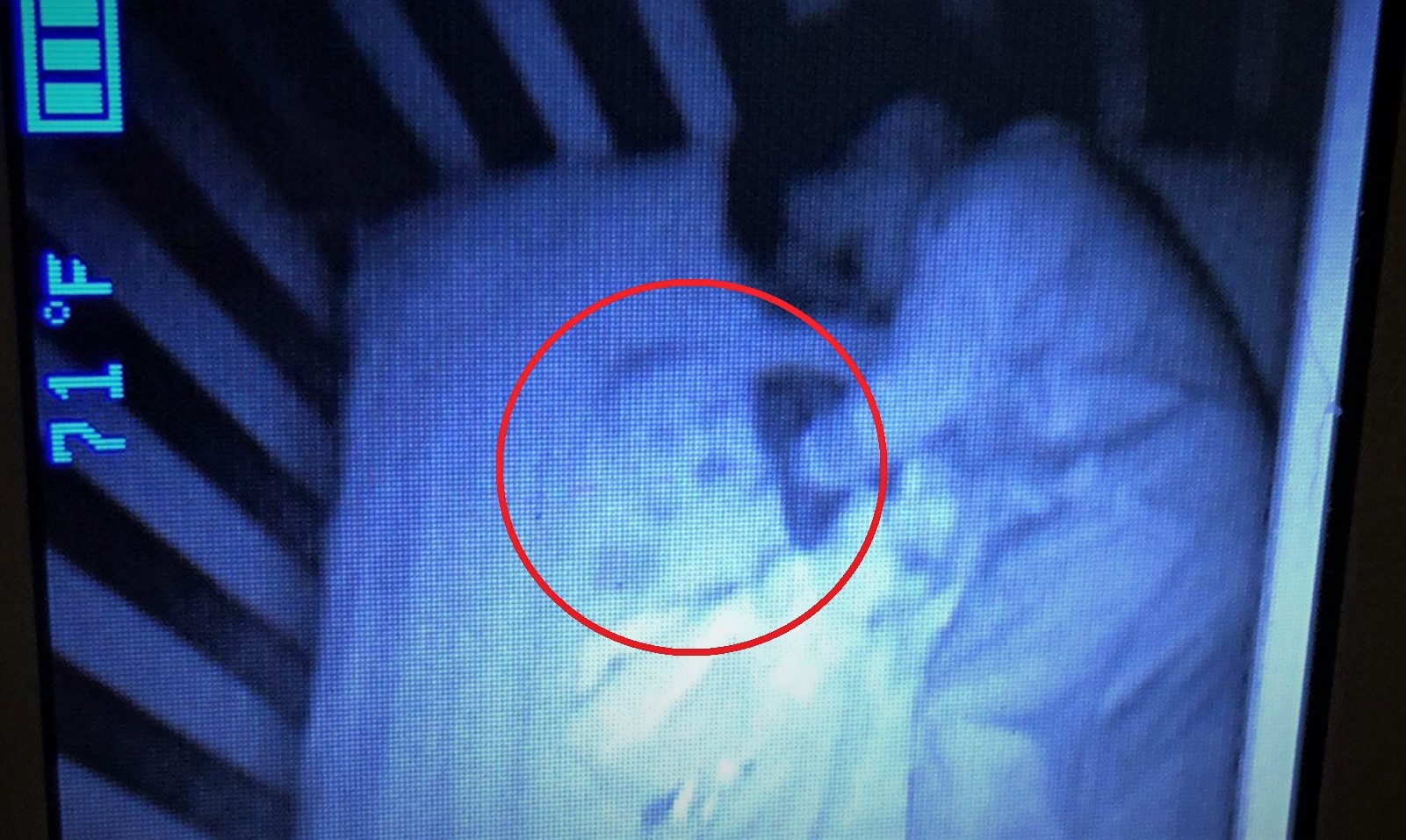 Madre aterrorizada «capta un bebé fantasma» junto a su hijo en la cuna