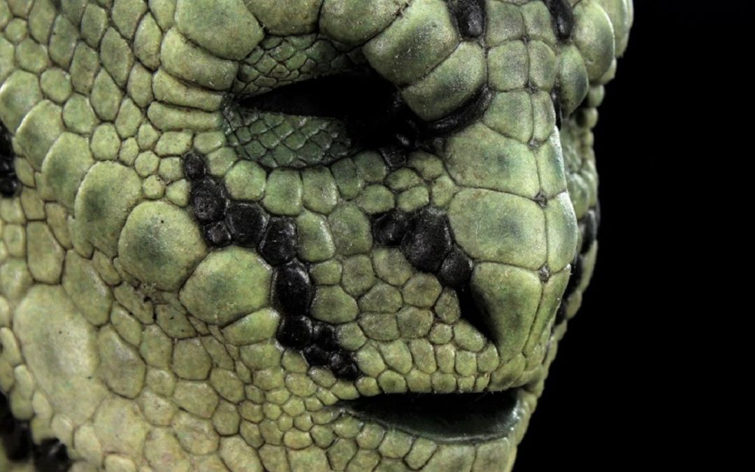 Lacerta y los orígenes de la humanidad: «Entrevista con un Reptiliano»