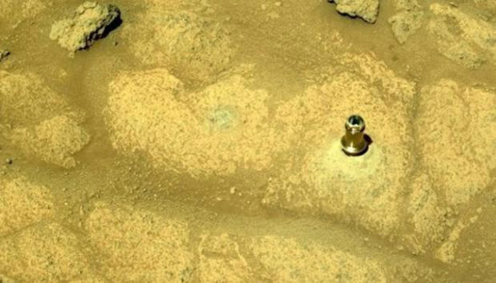 Marte: rover Curiosity de la NASA encontró una flor